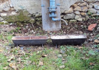 Garden & Stone