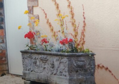 Garden & Stone